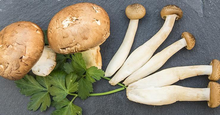 The ONLY Superfood Source for Vitamin D The ONLY Superfood Source for Vitamin D